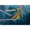 Lyra Neon Pencil, 18 Count, 18PK X13018 - alternate 3