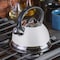 Mr. Coffee Mr. Flintshire 1.75 Quart Whistling Tea Kettle in Linen 137420.01 - alternate 2