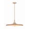 Z-Lite Camden Rubbed Brass 1 Light Pendant 2308P24-RB - alternate 1