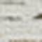 Homeroots 6' X 9' Beige And Brown Geometric Distressed Indoor Outdoor Area Rug 558762 - alternate 3