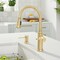 Blanco Empressa Pull-Down 1.5 GPM, Satin Gold 442980 - alternate 3