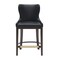 Manhattan Comfort Blair Counter Stool in Black CS020-BK - alternate 4