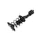 Fcs Struts Suspension Strut And Coil Spring Assembly 2333354L - alternate 2