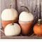 Homeroots Welcome Pumpkin Shelf 1 White Framed Print Wall Art 407286 - alternate 3