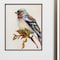 Homeroots 14" X 16" Metallic Bronze Frame Eco Bird, Set Of 2, 2PK 365237 - alternate 2