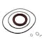 Agco SEAL KIT, AGCO OEM 544380D1 544380D1 - alternate 2