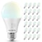Luxrite A19 LED Light Bulb 100 Watt Equivalent, CRI90, 5CCT Selectable 2700K 3000K 3500K 4000K, 24PK LR21480 - alternate 1