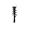 Fcs Struts Suspension Strut And Coil Spring Assembly 1334052L - alternate 1