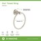 Symmons Dia Hand Towel Ring with Mounting Hardware 353TR-STN - alternate 2