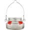 Natures Way Hummingbird 6 oz Glass Mason Jar Bird Feeder 4 ports MJF1-TRAY - alternate 1