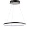 Jonathan Y Brice 15.75" Modern Contemporary Metal Round Integrated LED Pendant, Matte Black JYL7202A - alternate 2
