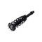 Fcs Struts Suspension Strut And Coil Spring Assembly 1335797L - alternate 2