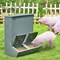 Vevor Hog Feeder 3.7 Bushel Metal Double Door Pig Feeder Feeding up to 8 Hogs T1091 - alternate 2