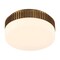 Euf Purgos, Flush Mount, 12", Antique Brass, Opal Glass 49913-019 - alternate 2