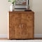 Bali & Pari Valora Modern and Contemporary Natural Mappa Real Burl Wood 2-Door Console Cabinet 249-13927-ZORO - alternate 3