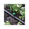 Raindrip Take-A-Part Flag Dripper Plant Waterer, 2 GPH, 25PK 122025B - alternate 2