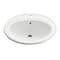 Anzzi Luna Series 19 in. Ceramic Drop-in Oval Bathroom Sink Basin in White LS-AZ923 - alternate 1