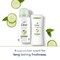 Dove Advanced Care Cool Essentials Antiperspirant Deodorant, 2.5 Fluid Ounce Aerosol, 12PK 69642399 - alternate 1