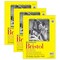 Strathmore 300 Series Bristol Pad, Vellum Finish, Tape Binding, 20 Sheet, 9x12 inch, 3PK P342-109-03 - alternate 1