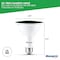 Bulbrite 90-W Equivalent, Green Color PAR38 Weatherproof Outdoor E26 Medium Base Flood LED Light Bulb COLOR 861909 - alternate 2