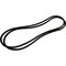 Agco V-BELT, AGCO OEM 72415053 72415053 - alternate 1