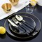 Elama 150 Piece Disposable Plastic Dinnerware Party Set for 25 Guests in Black with Gold Trim 750123351M - alternate 5