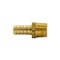 Proline Series Brass 1/2-in BARB x 1/2-in MIP Male Adapter BHB-385NLB - alternate 2