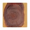 Bali & Pari Rapha Hand-carved Suar Wood Side Table 259-14285-ZORO - alternate 4