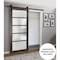 Sartodoors Sturdy Barn Door Frosted Glass 32x96 Solid Core Modern Interior QUADRO4002BD-B-CA-3296 - alternate 1