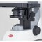 Motic Instruments Usa Panthera E2 Trinocular 50:50 Compound Upright Microscope 1100104601126 - alternate 2