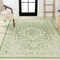 Jonathan Y Sinjuri Medallion Textured Weave Cream/Green 5 ft. x 8 ft. Indoor/Outdoor Area Rug SMB101H-5 - alternate 2
