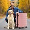 Simple Deluxe 28 Inch Hardside Carry On Luggage, Suitcase with Double Spinner Wheels and TSA Lock, Hard Shell Sui 3A88APLUGG28ABSPNK - alternate 2