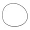 John Deere O-RING, JOHN DEERE OEM 4203186 4203186 - alternate 2