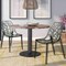 Leisuremod Cornelia Modern Stackable Dining Chair with Cut-Out Tree Design, Transparent Black, 2PK C18TBL2 - alternate 4