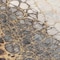 Homeroots 10' X 14' Ivory Gray And Gold Abstract Washable Indoor Outdoor Area Rug 582529 - alternate 3