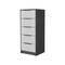 Homeroots 18" White and Gray Five Drawer Standard Chest 534961 - alternate 1