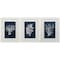 Homeroots 21" X 27" White Frame Wood Coral Blue, Set Of 3, 3PK 365730 - alternate 3