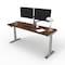We'Re It Electric Sit Stand Desk, 46.25 H, 24 W X Laminate wood, metal, Brushed Silver, Walnut Block VL22BS7224-WNB - alternate 1