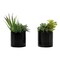 Monarch Specialties Artificial Plant, 7'' Tall, Succulent, Indoor, Fake, Decorative, Green Plants, Glossy Blk Pots, 2PK I 9554 - alternate 2