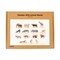 Tickit Wooden Wild Animal Blocks, 15-Piece Set 73572 - alternate 2