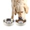 Petmaker Set of 2 Stainless Steel Slow Feeder Dog Bowls 30oz Double Wall Insulated Food & Water Bowls PET6429 - alternate 3