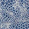 Homeroots 5' X 8' Navy Blue And Ivory Geometric Washable Indoor Outdoor Area Rug 595098 - alternate 3