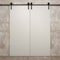 Sartodoors Modern Double Barn Door 48 x 80 inches, Ego 5005 Painted White Oak, 13FT Rail Track Set, Solid Pa EGO5005DB-PWO-48 - alternate 2