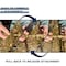 Morvat Brass Quick Connect Garden Hose Fittings for Accessories, 6PK MOR-ABQCONNECTOR-6-A - alternate 2