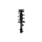 Fcs Struts Suspension Strut And Coil Spring Assembly 2331579L - alternate 1
