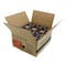 Powernail PowerStaples PS18112 Fine Wire Staple, 1/4 in W Crown, 1-1/8 in L Leg, 18 ga, Carbon Steel PS18112-6PK - alternate 2