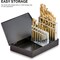 Neiko High-Speed Steel Left-Hand Drill-Bit Set with Titanium Nitride Coating, SAE Sizes, 15-Piece Set 10037A - alternate 2