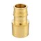 Thrifco Plumbing 3/4" x 3/4" Brass Female Sweat Adapter F1960 x Sweat Lead Free - (PEX A) 7920061 - alternate 1
