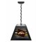 Holland Bar Stool Western Michigan University Pendant Box Light BxLM1 - alternate 1