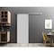 Sartodoors Sliding Barn Door with 6.6ft Hardware, Planum 0010 Matte Grey, Rail Hangers Sturdy Silver Set, Mode PLANUM0010BD-S-GRE-3696 - alternate 1